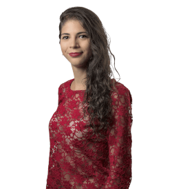 Yrlen Perez Programadora, WordPress Hacker
